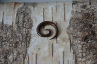 Cargar imagen en el visor de la galería, Kopie von Parasitholz Dehnschnecke Spirale Piercing Expander - chic-net.de
