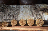 Cargar imagen en el visor de la galería, Krokodil Holz Plug Baum des Lebens hell double flared - chic-net.de
