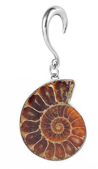 Cargar imagen en el visor de la galería, Nautilus Ohrgewicht Hook Piercing Edelstahl 4mm-8mm - chic-net.de
