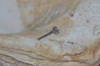 Load image into Gallery viewer, Nostril Piercing Nasenstecker Edelstahl Glitzer Stern - chic-net.de
