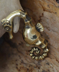 Cargar imagen en el visor de la galería, Ohrgewicht 4mm Hook Dehner Messing Seepferdchen 40mm - chic-net.de
