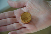 Load image into Gallery viewer, Olivenholz Flesh ribbed Plug Lobe Piercing Holz straight - chic-net.de
