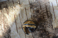 Cargar imagen en el visor de la galería, Piercing Gunmetall Brass Spirale Ohrgewicht 5mm grau gold - chic-net.de
