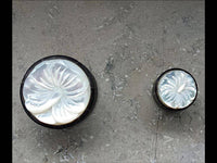 Load image into Gallery viewer, Plug Horn Perlmutt Hibiskus Blüte weiß double flared - chic-net.de
