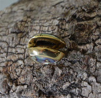 Load image into Gallery viewer, Plug Ohrgewicht Messing Paua zum Einhängen Tropfen gold - chic-net.de
