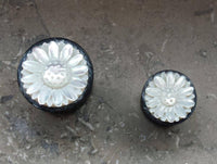 Cargar imagen en el visor de la galería, Plug weiß Horn Perlmutt Gänseblümchen double flared - chic-net.de
