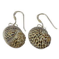 Load image into Gallery viewer, Schneckenmuschel-Ohrringe mit Bügel aus 925 Sterlingsilber, ca. cm 2,0cm lang und 1,5cm breit - chic-net.de
