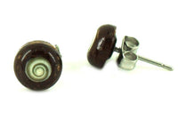 Load image into Gallery viewer, Shivaauge Halbkugel 10 mm Kokosnuss Holz Ohrstecker Edelstahl dunkelbraun Holzohrstecker - chic-net.de
