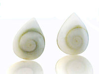 Load image into Gallery viewer, Shivaauge Ohrstecker Tropfen 12 mm 925er Sterlingsilber Shiva Auge Silberohrstecker Muschel - chic-net.de
