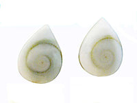 Load image into Gallery viewer, Shivaauge Ohrstecker Tropfen 12 mm 925er Sterlingsilber Shiva Auge Silberohrstecker Muschel - chic-net.de
