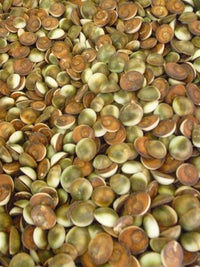 Load image into Gallery viewer, Shivaauge Silberanhänger Schlüssel Anhänger 925 Silber - chic-net.de
