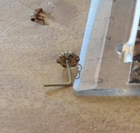 Load image into Gallery viewer, Silber Nasenstecker 0,8 mm Nostril Blume L-Form - chic-net.de
