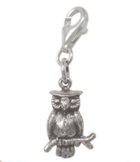 Load image into Gallery viewer, Silberanhänger Eule Charm Anhänger 925er Sterling Silber Unisex Schmuck - chic-net.de
