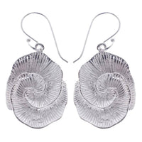 Load image into Gallery viewer, Silberohrringe 925er Silber Ohrringe Ohrhänger Damen Schmuck Spirale Rillen oval - chic-net.de
