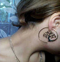 Cargar imagen en el visor de la galería, Spiralen Messing Ohrringe gold Nautilus Schnecke - chic-net.de
