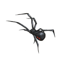 Load image into Gallery viewer, Klebetattoo temporär Spinne realistisch spitze Beine schwarz rot 1 Bogen - chic - net.de
