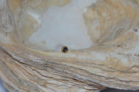 Load image into Gallery viewer, Labret Lippen Piercing Bio Acryl Amethyst antik golden Brass Tragus Conch Helix - chic - net.de
