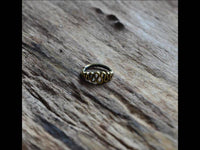 Load image into Gallery viewer, Nasen Ring Piercing Brass antik gold spiralig Nostril - chic - net.de
