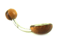 Cargar imagen en el visor de la galería, Organic Perlmutt Tamarind Holz braun weiß Bauchnabelpiercing Scheibe Bananenpiercing Edelstahl - chic - net.de
